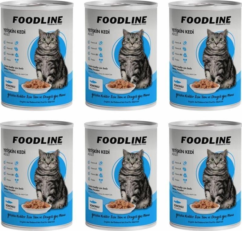 Somonlu Yetişkin Kedi Konservesi 400 Gr x 6 Adet