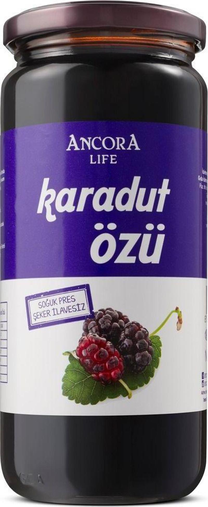 Karadut Özü 640 Gr