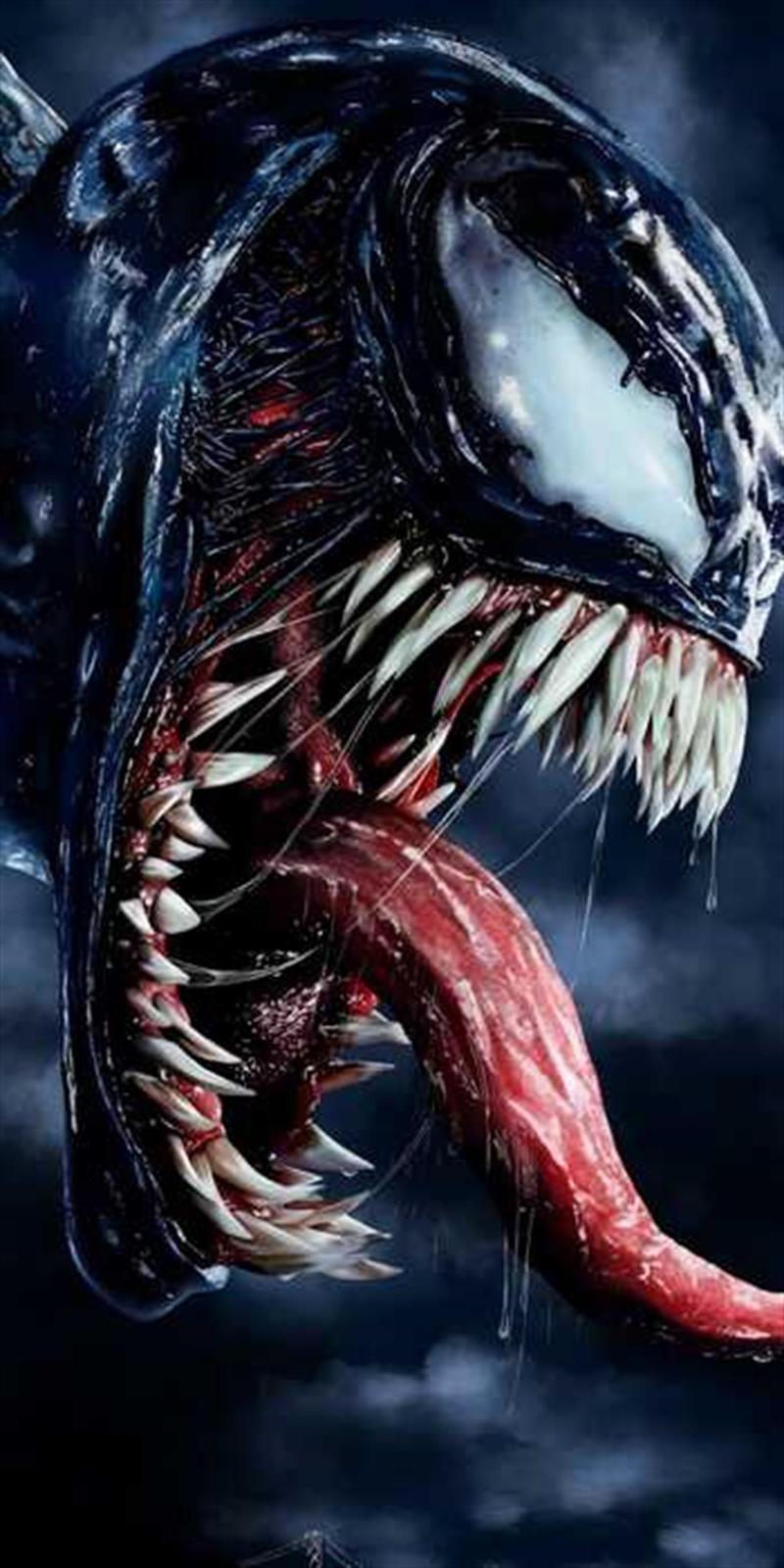 Pastelya Sayılarla Boyama Seti Rulo Çerçevesiz Venom