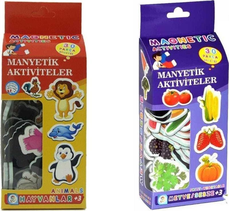 Manyetik 2'Li Eğitici Set 03