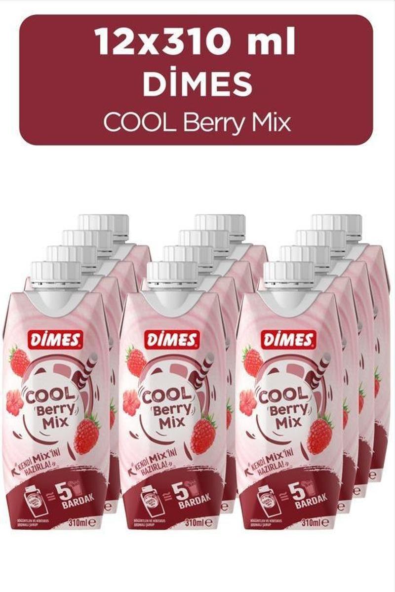 Cool Berry Mix 310 ml 12'li Paket