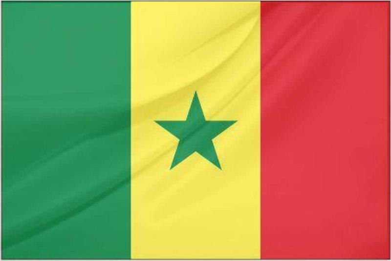 Senegal Devlet Bayrağı (50x75 cm)