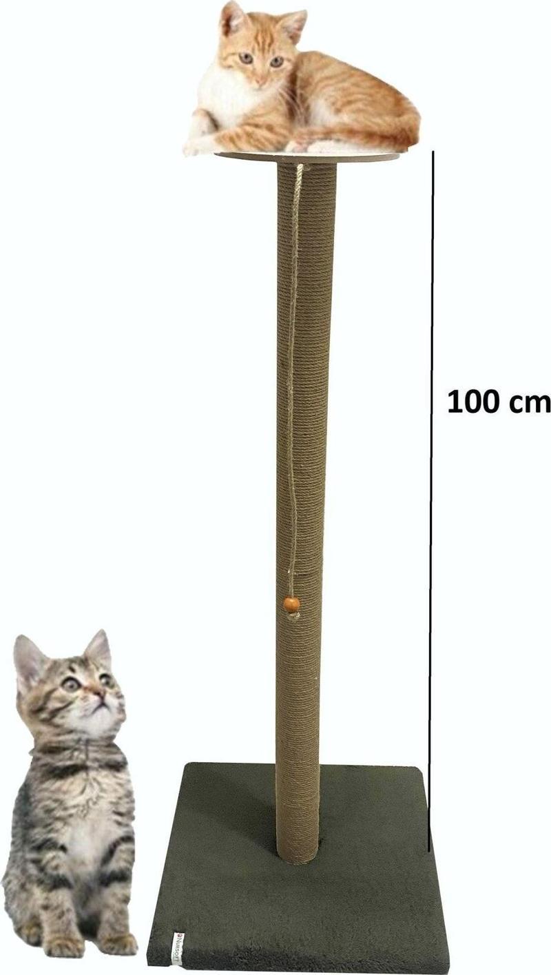 Büyük Kedi Tırmalama Tahtası 100 Cm