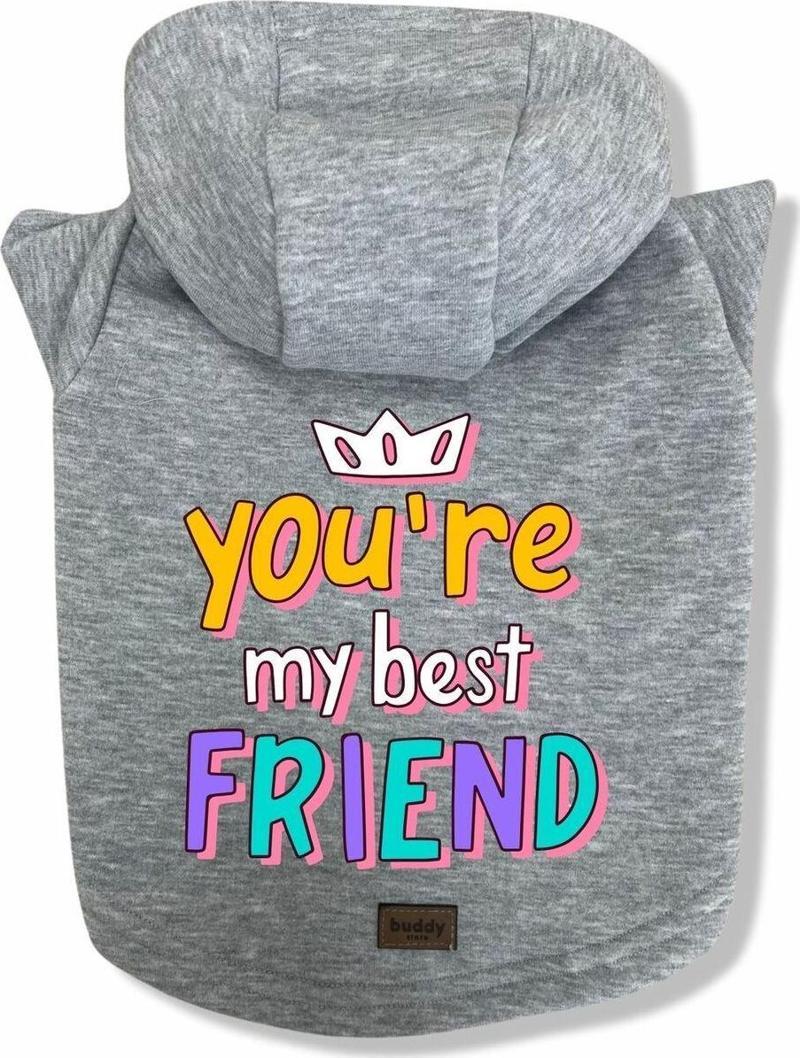 Köpek Kıyafeti Köpek Sweatshirt Hoodie Köpek Ürünleri Kedi Kıyafeti - You're My Best Friend XL