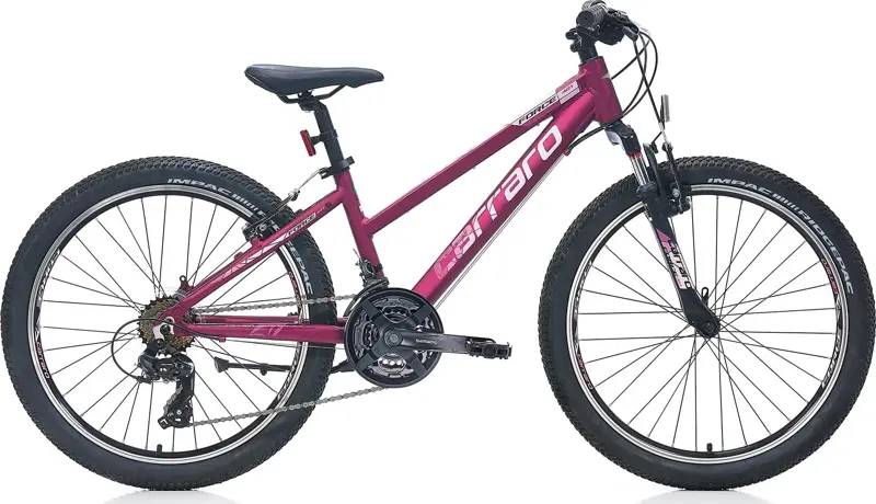 Force 401 V Fren 21 Vites 24 Jant Dağ Bisikleti Mat Mürdüm Pembe