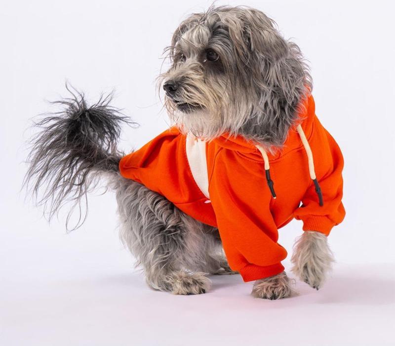 Turuncu Cute Köpek Hoodie Köpek Sweat Köpek Kıyafeti Kedi Kıyafeti 2XL