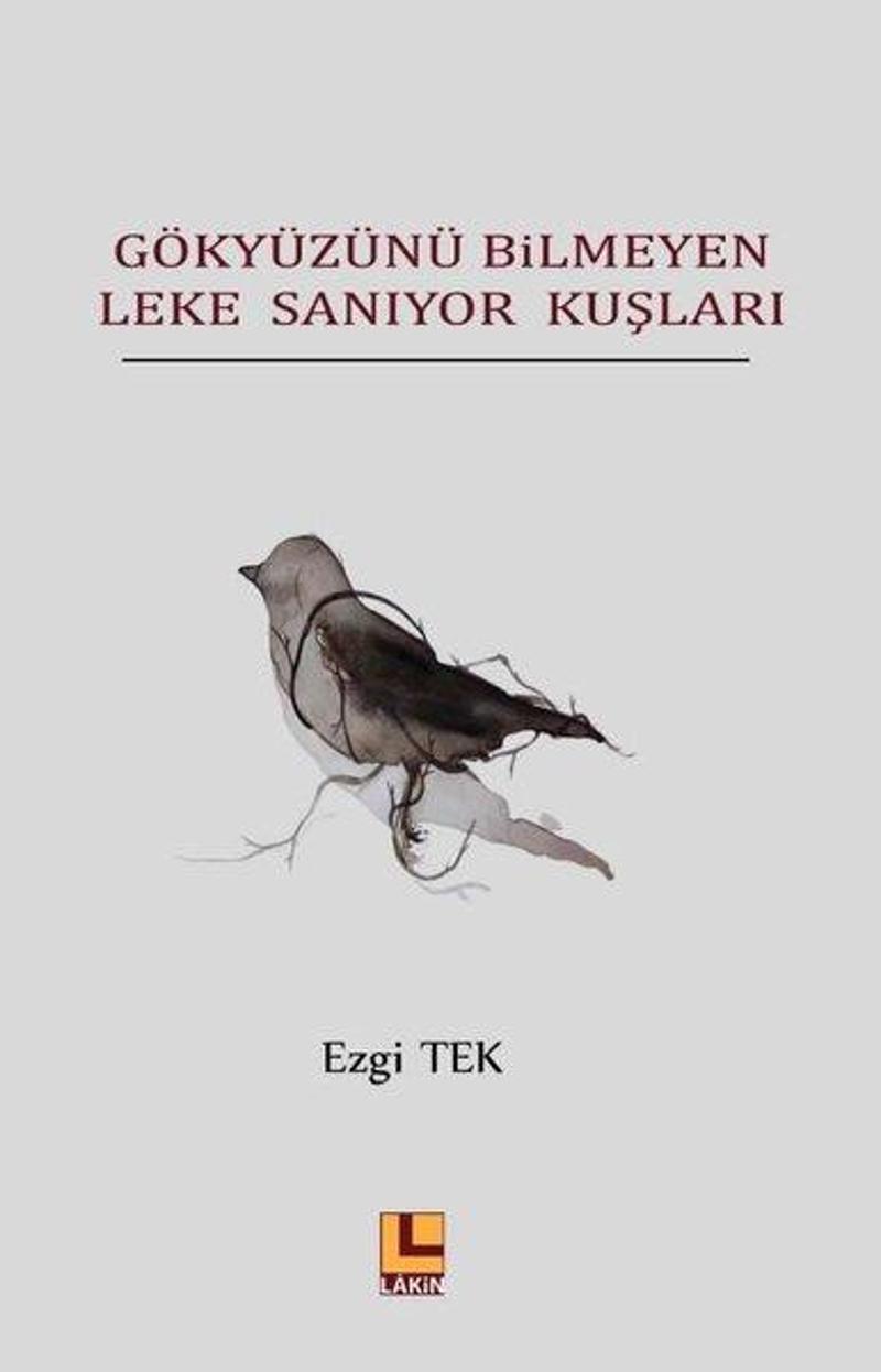 Gökyüzünü Bilmeyen Leke Sanıyor Kuşları