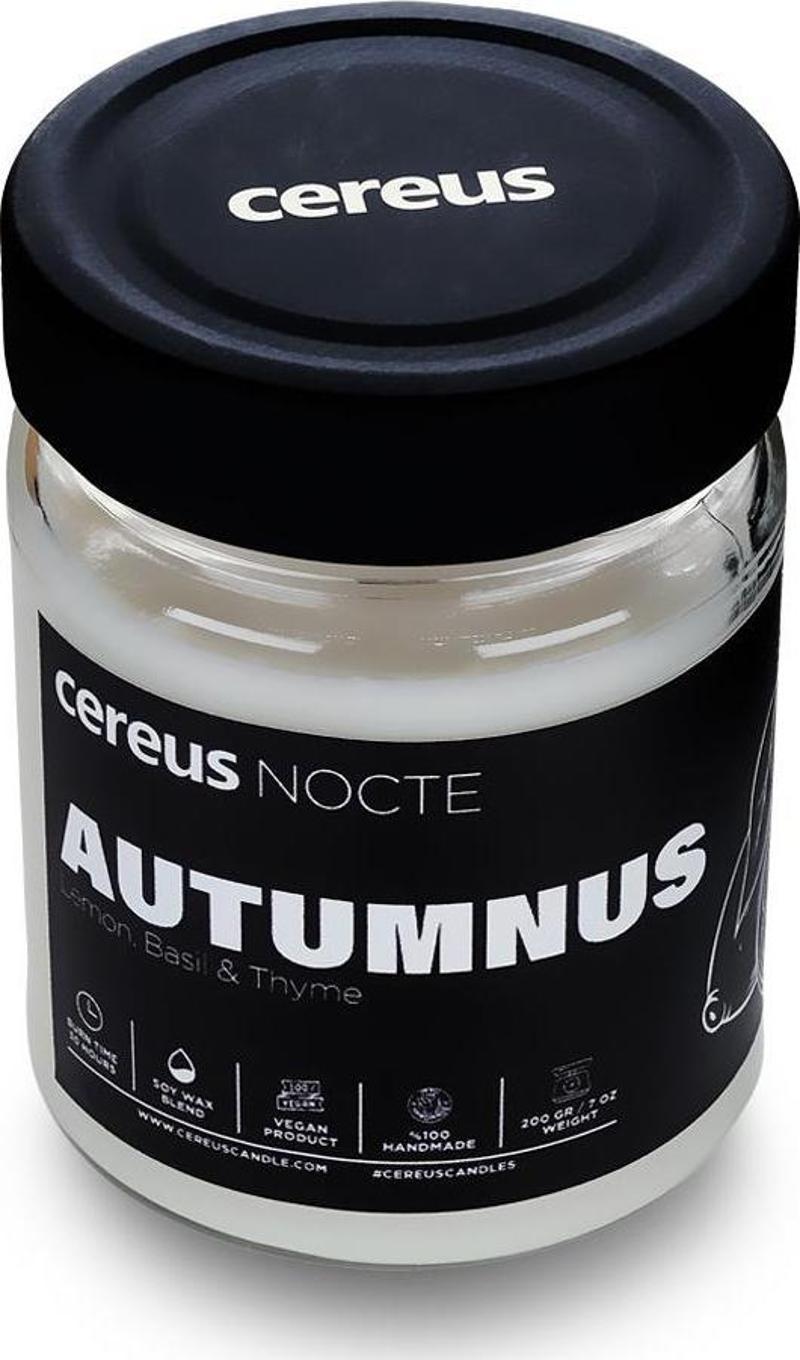 Nocte Autumnus Lime & Fesleğen Kokulu Soya Mum (210 Gr)