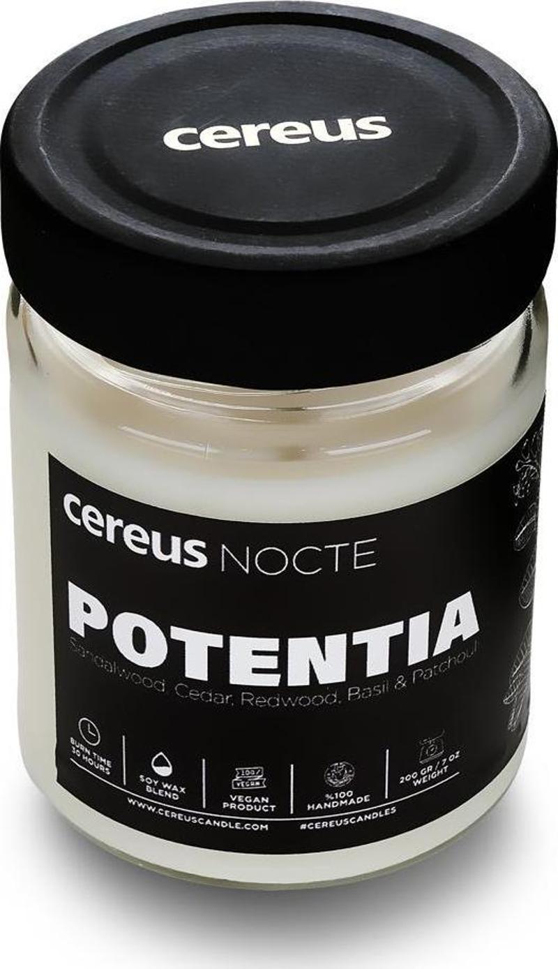 Nocte Potentia Sandal Ağacı Kokulu Soya Mum (210 Gr)