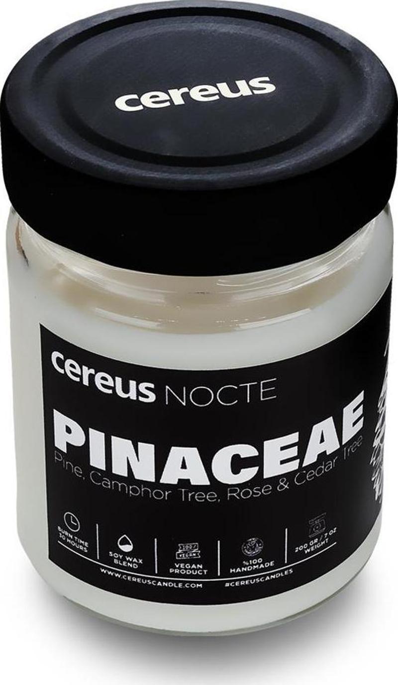 Nocte Pinaceae Çam Kokulu Soya Mum (210 Gr)