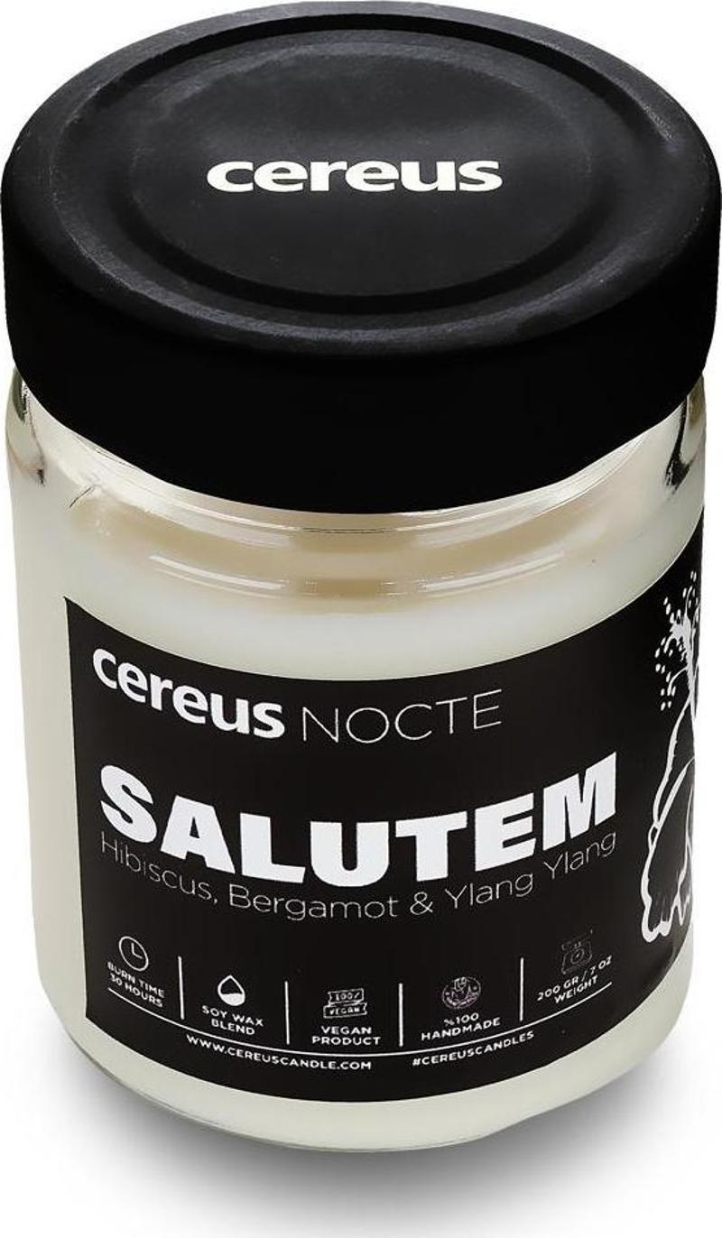 Nocte Salutem Hibiskus Kokulu Soya Mum (210 Gr)