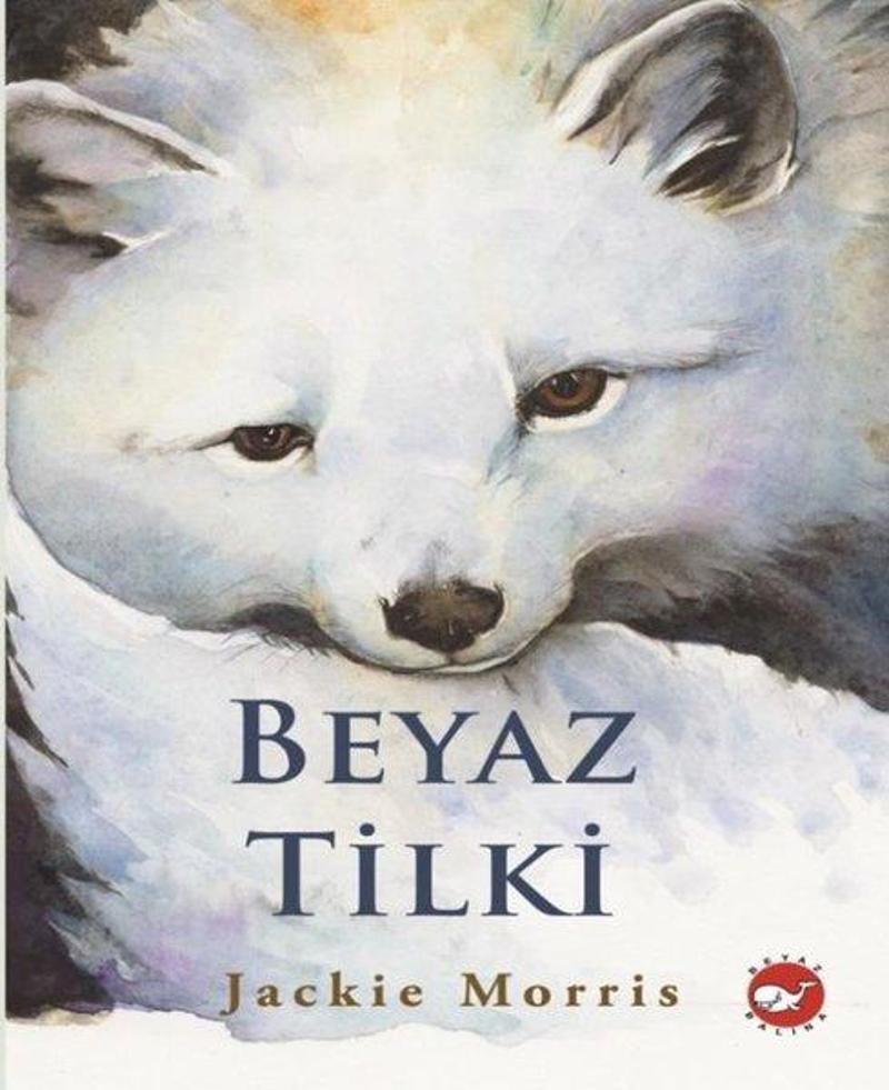 Beyaz Tilki