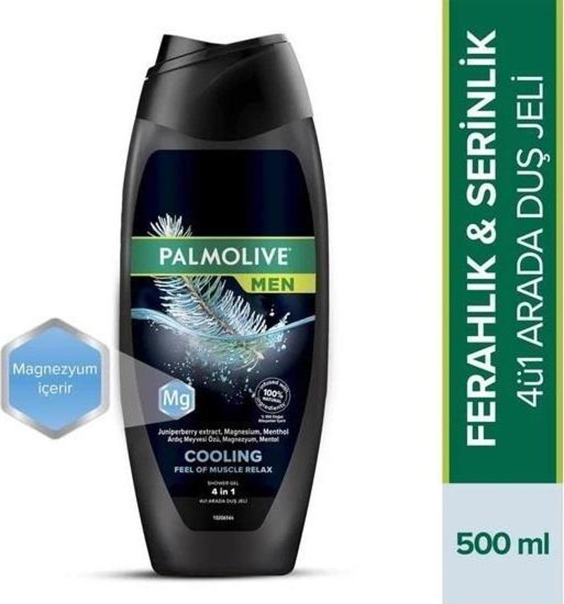 Men Duş Jeli Coolıng Feel Of Muscle Relax 4 In1 500 Ml