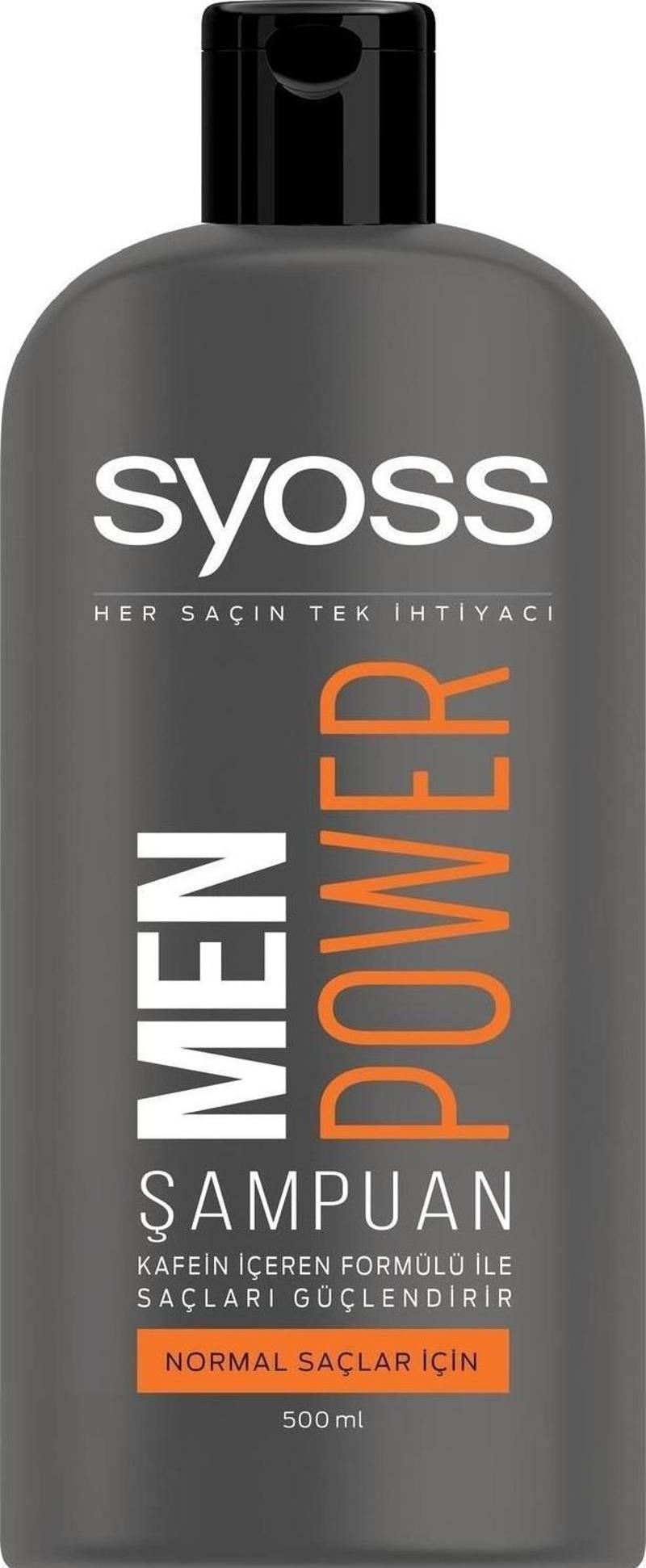 Men Şampuan Power Normal Saçlar İçin 500 Ml