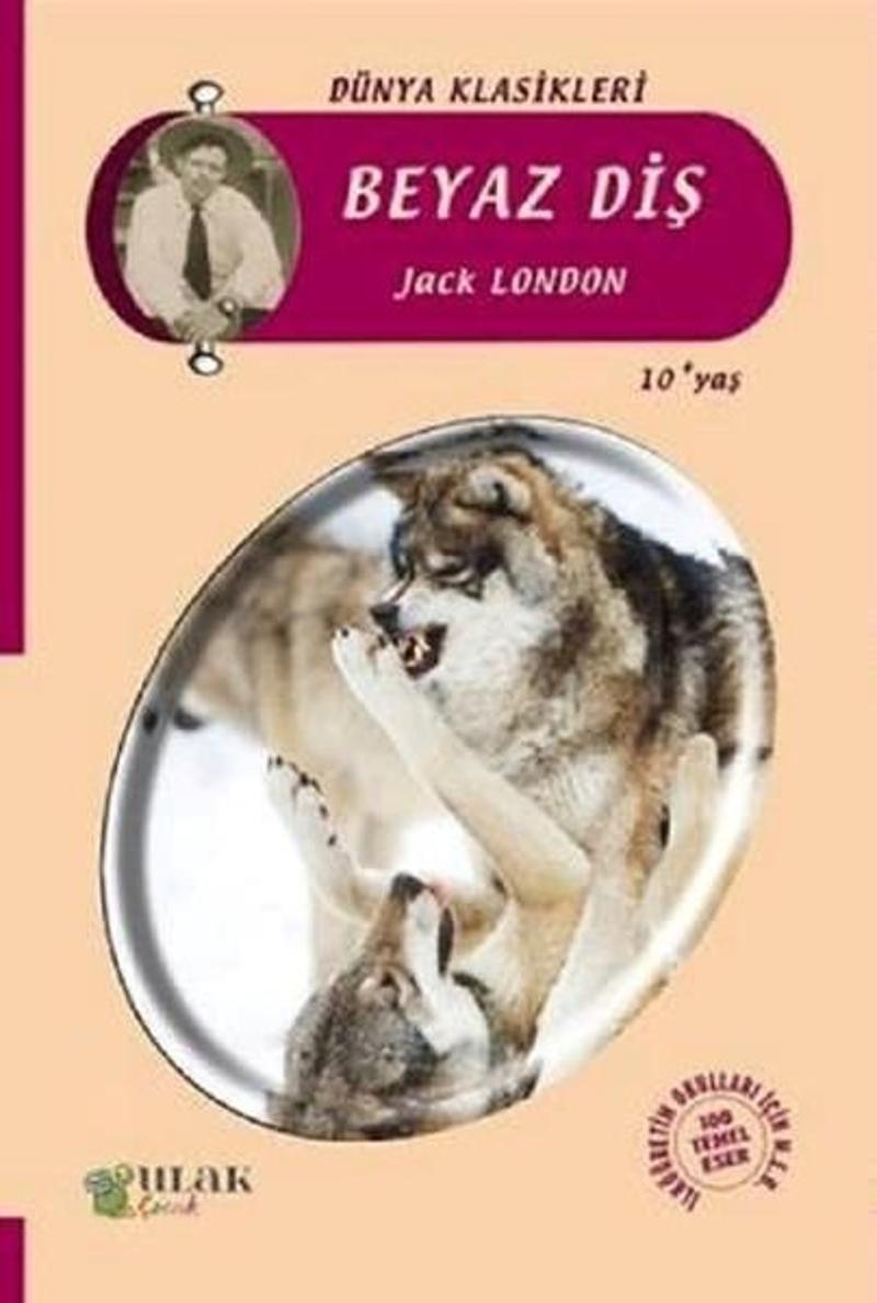 Ulak Yayıncılık Beyaz Diş - Jack London Ulak Yayıncılık Beyaz Diş - Jack London