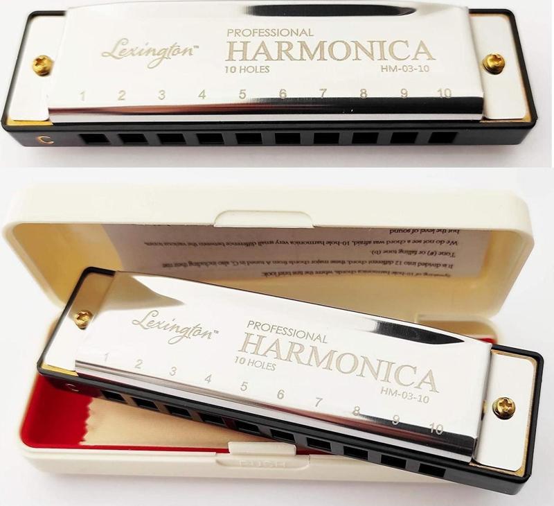 10 Delikli Mızıka Professional Harmonica DO