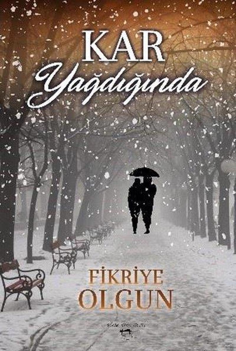 Sokak Kitapları Yayınları Kar Yağdığında - Fikriye Olgun