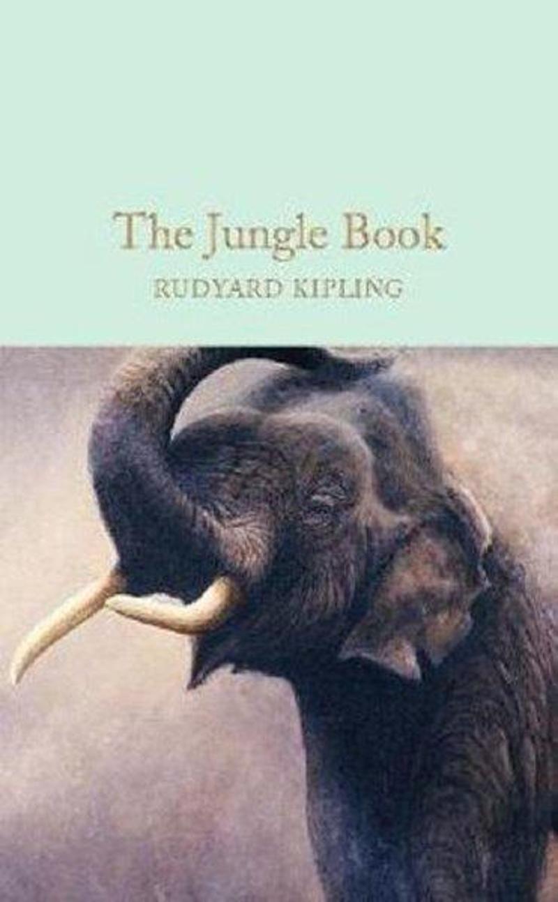 Collectors Library The Jungle Book (Macmillan Collector's Library) - Rudyard Kipling