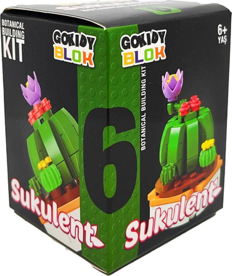 Blok Sukulent Serisi - 6