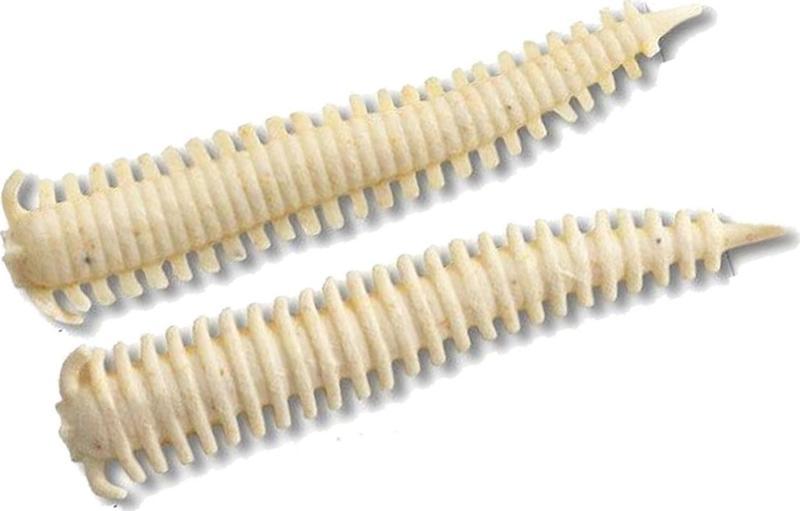 Gulp Alive Sandworm 5cm Silikon Kurt White