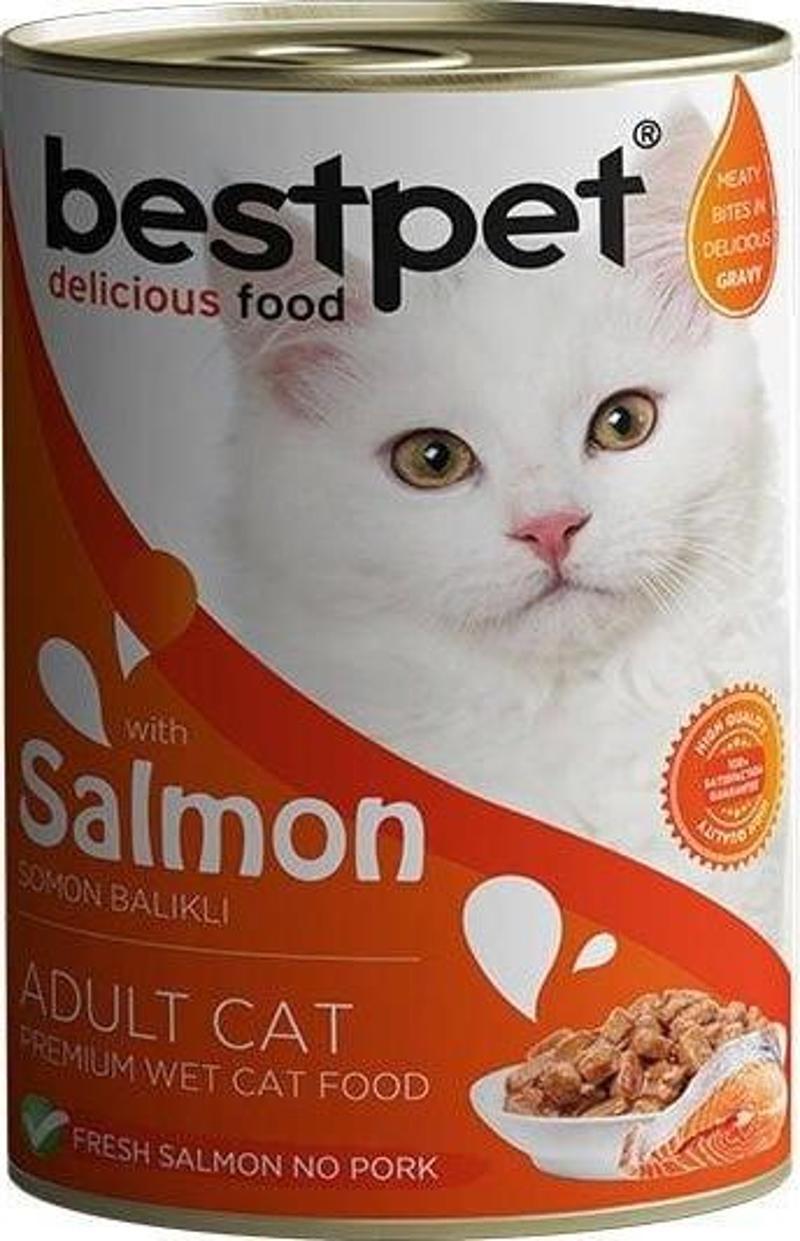 Somonlu Jöleli Yetişkin Konserve Kedi Maması 400 Gr