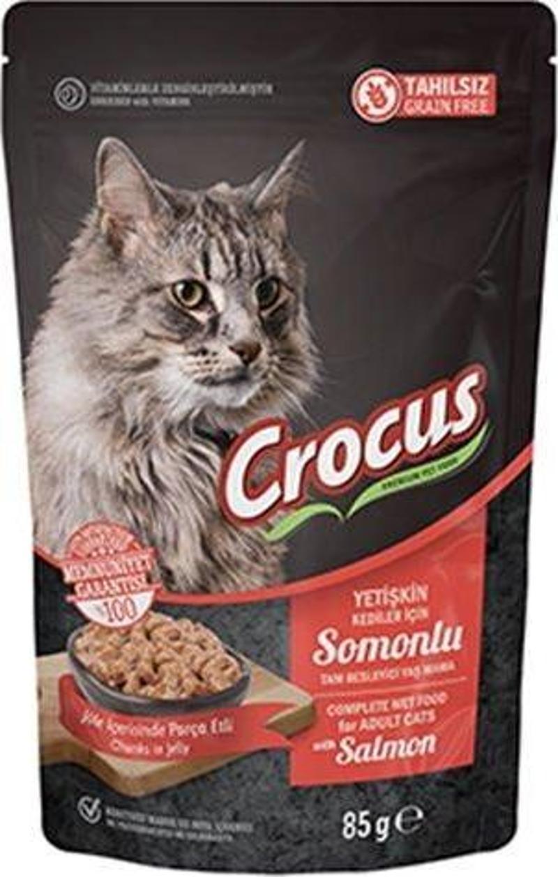 Tahılsız Pouch Jöleli Somonlu Yavru Konserve Kedi Maması 85 Gr