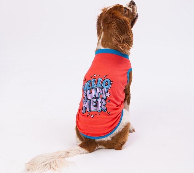 Nar Çiçeği Hello Summer Kedi Köpek Tişörtü - Kedi Köpek Kıyafeti XLarge