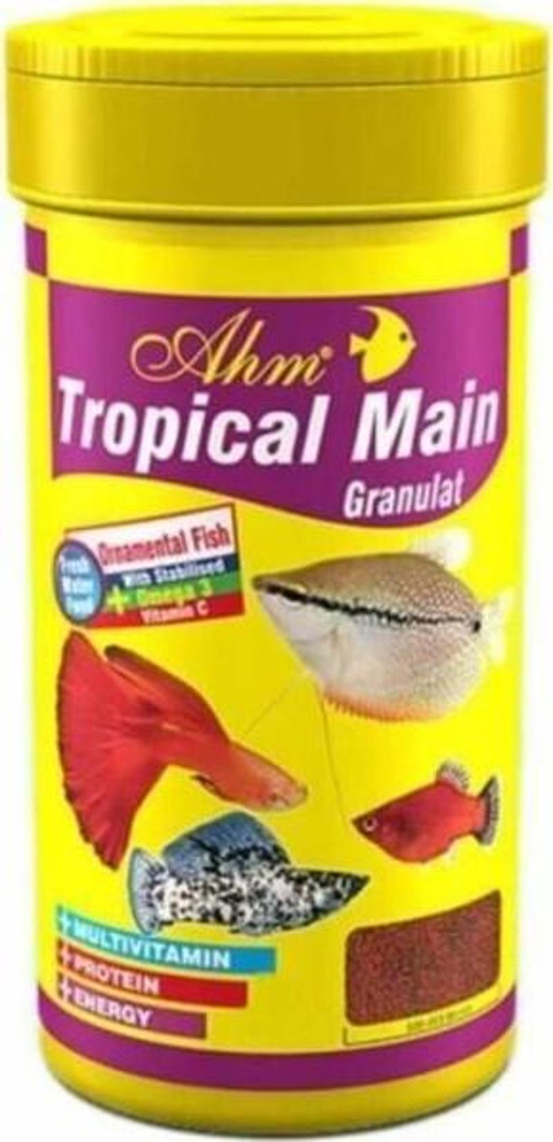 Tropical Main Food 100 ml Tropikal Balık Yemi