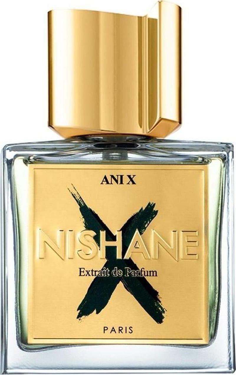 Ani X Extrait De Parfum 100 ml Erkek Parfüm