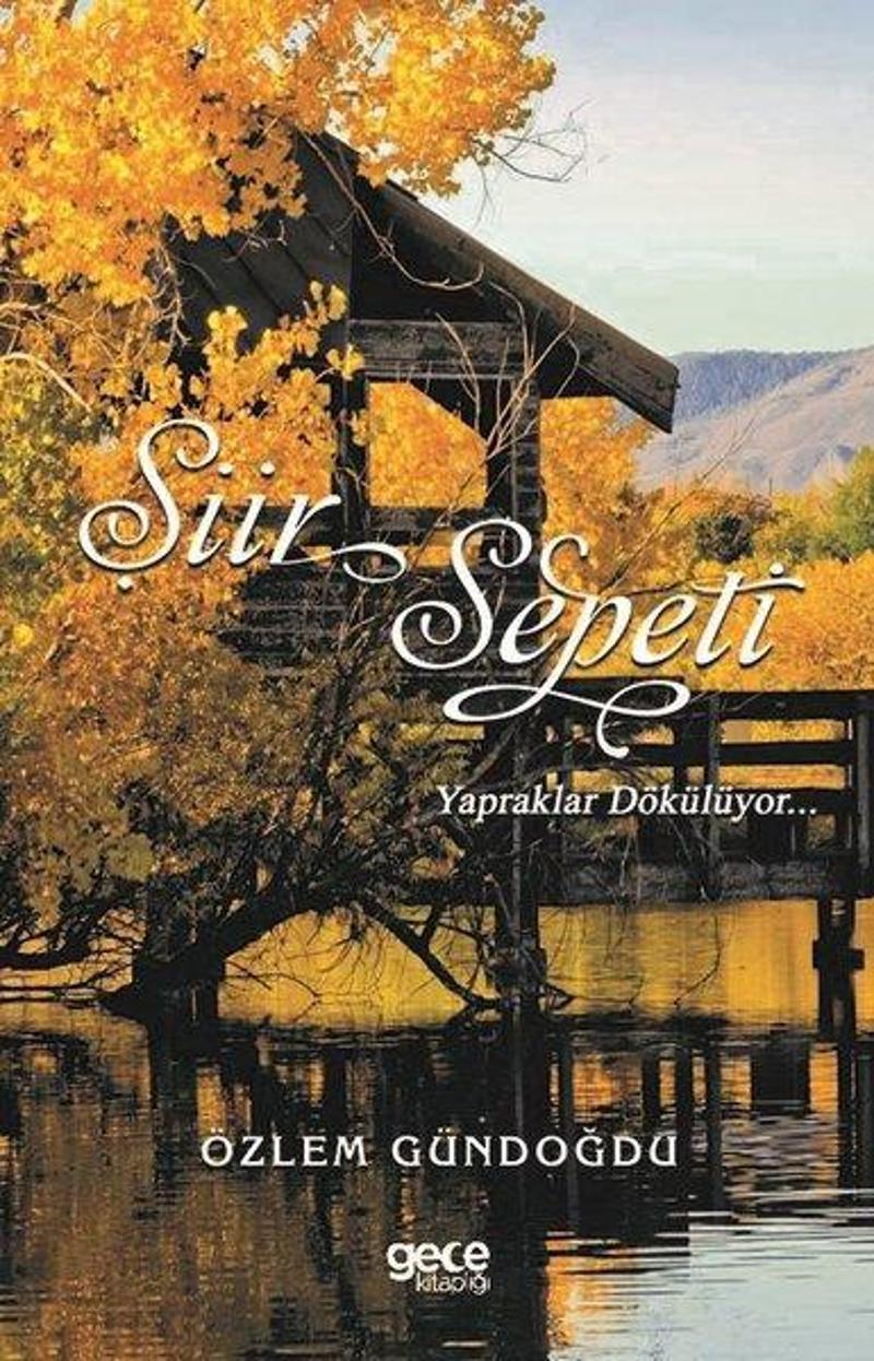 Gece Kitaplığı Şiir Sepeti - 3 - Özlem Gündoğdu