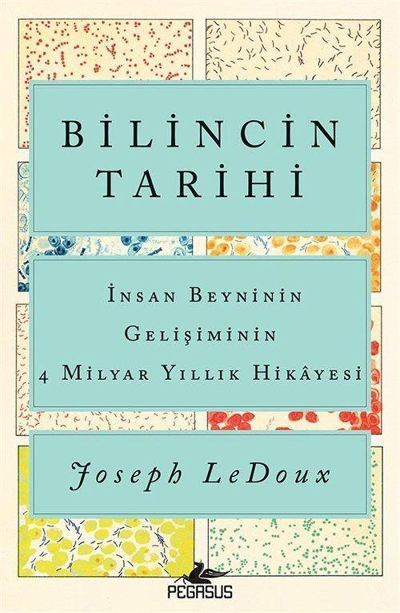 Bilincin Tarihi: İnsan Beyninin Gelişiminin 4 Milyar Yıllık Hikayesi