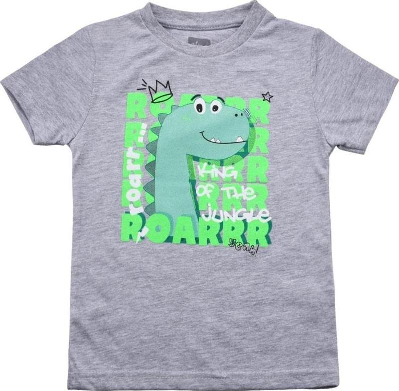 Sevimli Dinozar Baskılı Erkek Bebek Tshirt Gri