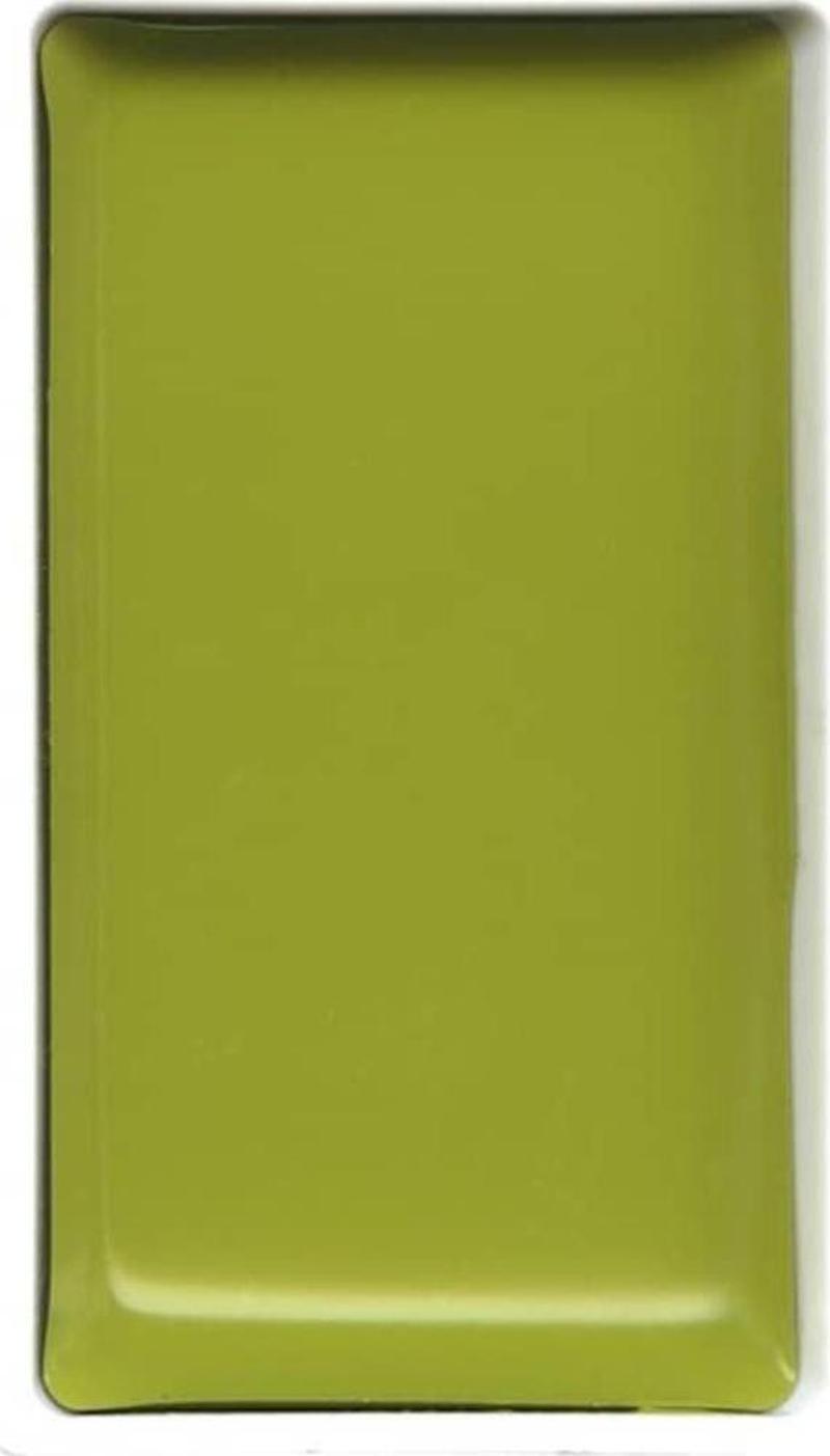 Kuretake Gansai Tambi Sulu Boya 48 GREENISH YELLOW