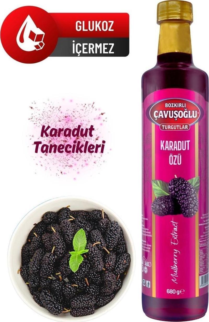 Doğal ve Katkısız Karadut Özü 680g