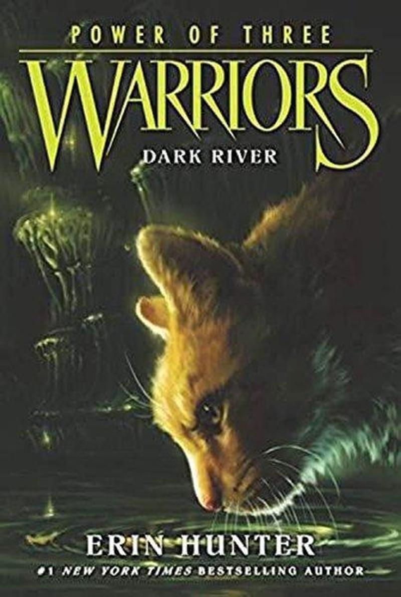 Warriors: Power of Three #2: Dark River (Warriors: Power of Three)