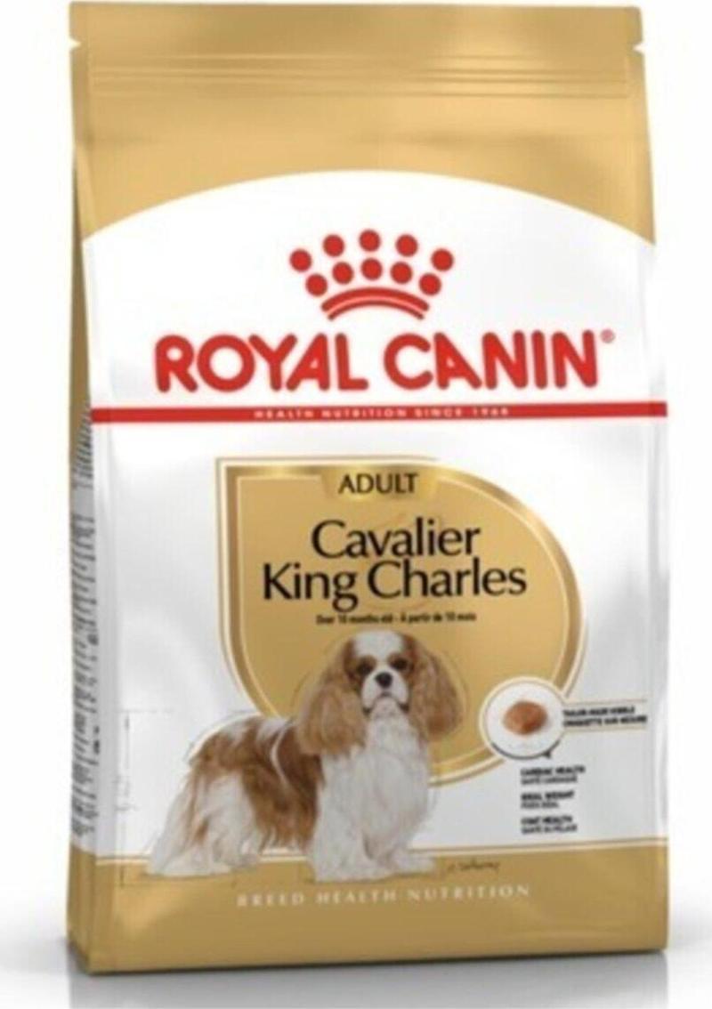 Cavalier King Charles Adult Köpek Maması 3 Kg