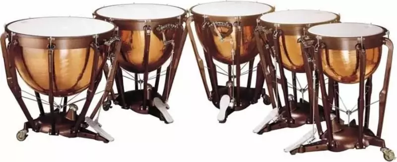 Musser Lkp523kg 23 İnch Timpani