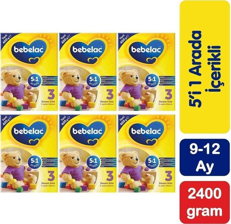 3 Devam Sütü 2400 g 9-12 Ay