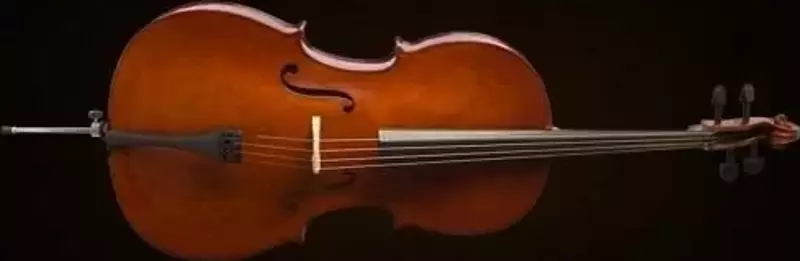 Valencıa Ce160f44 Cello 4/4 Scale +kılıf+yay, Karartılmış Akçaağaç B