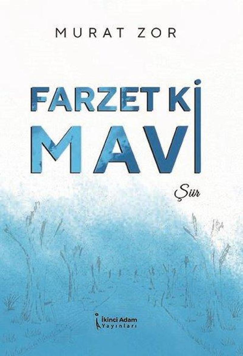 İkinci Adam Yayınları Farzet ki Mavi - Murat Zor