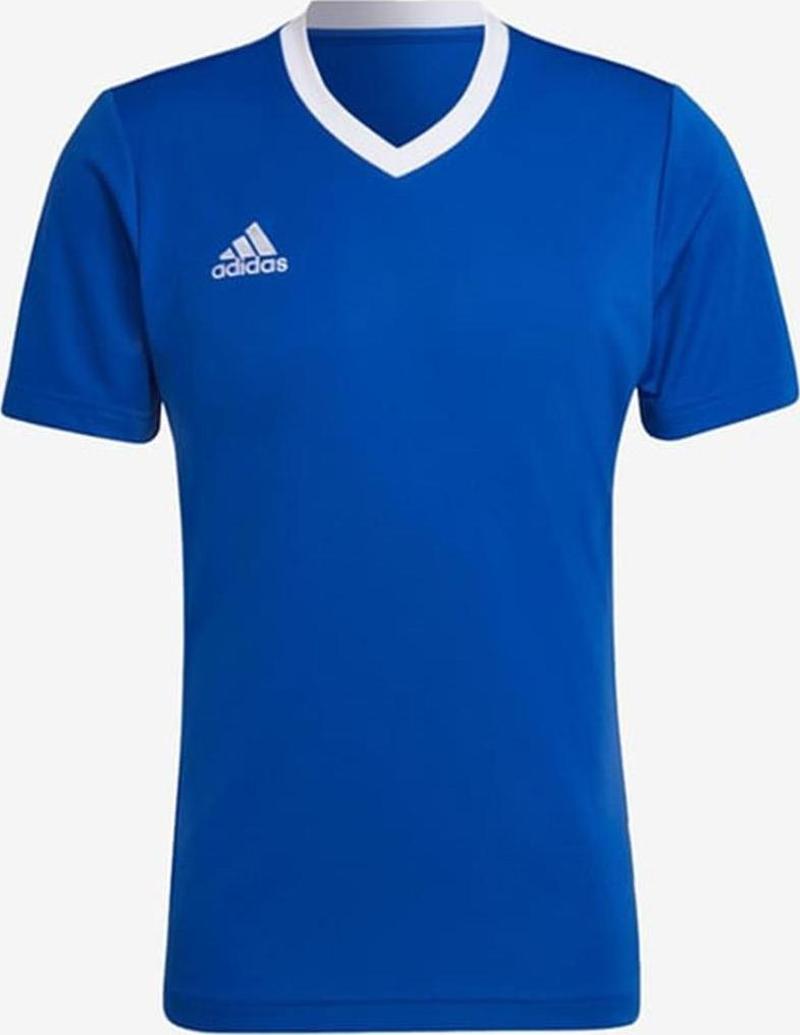 Entrada 22 Jersey ADHG6283 Mavi Erkek Forma