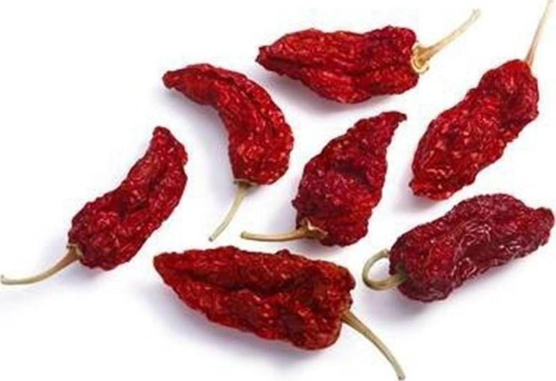 Bhut Jolokia Dünya'nın En Acı 2 nci Biberi Kurutulmuş Biber