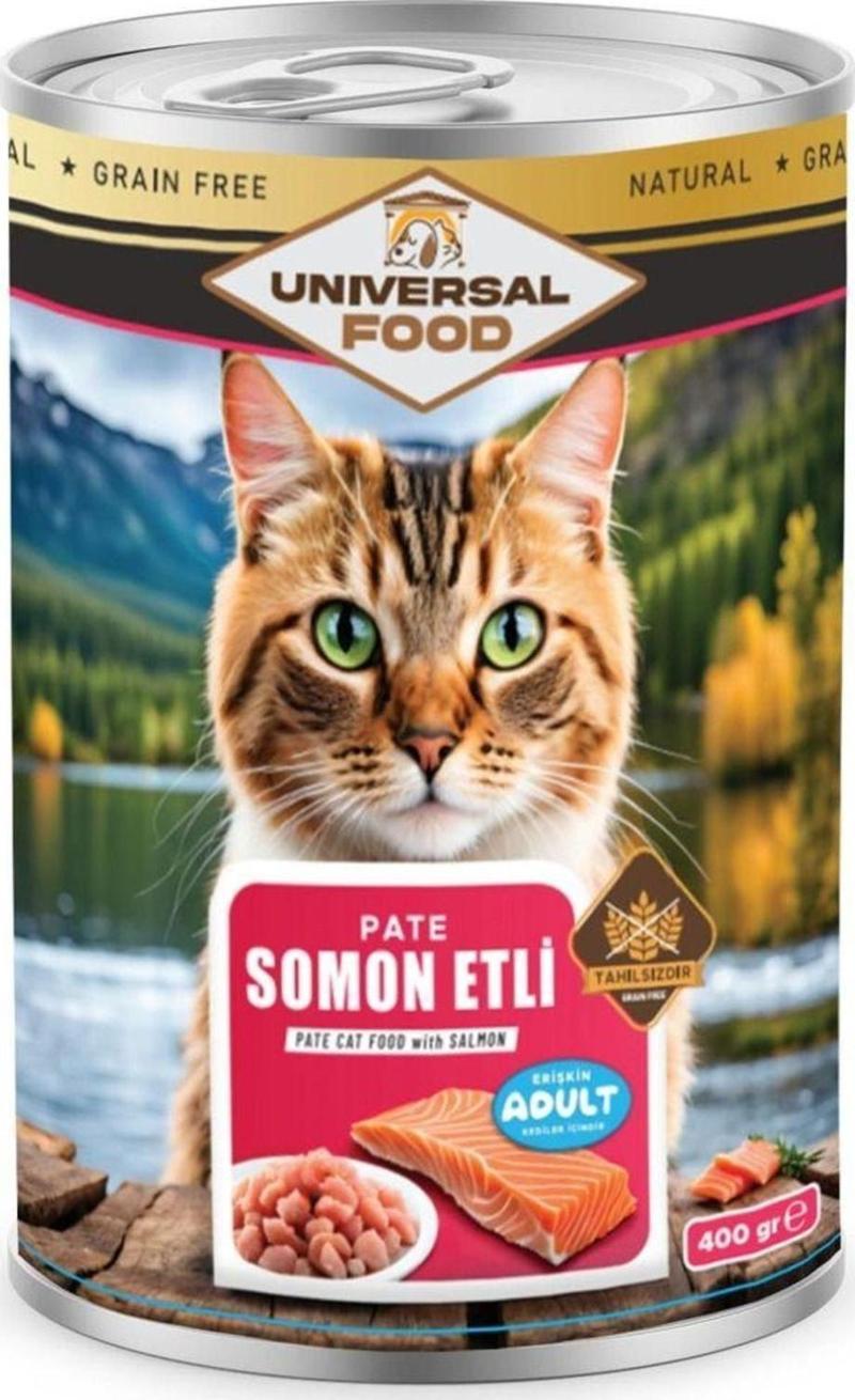 Universal Kedi Konservesi - Exquisite Pate Somon Etli Kedi Konserve 400g*20 Adet Fiyatı