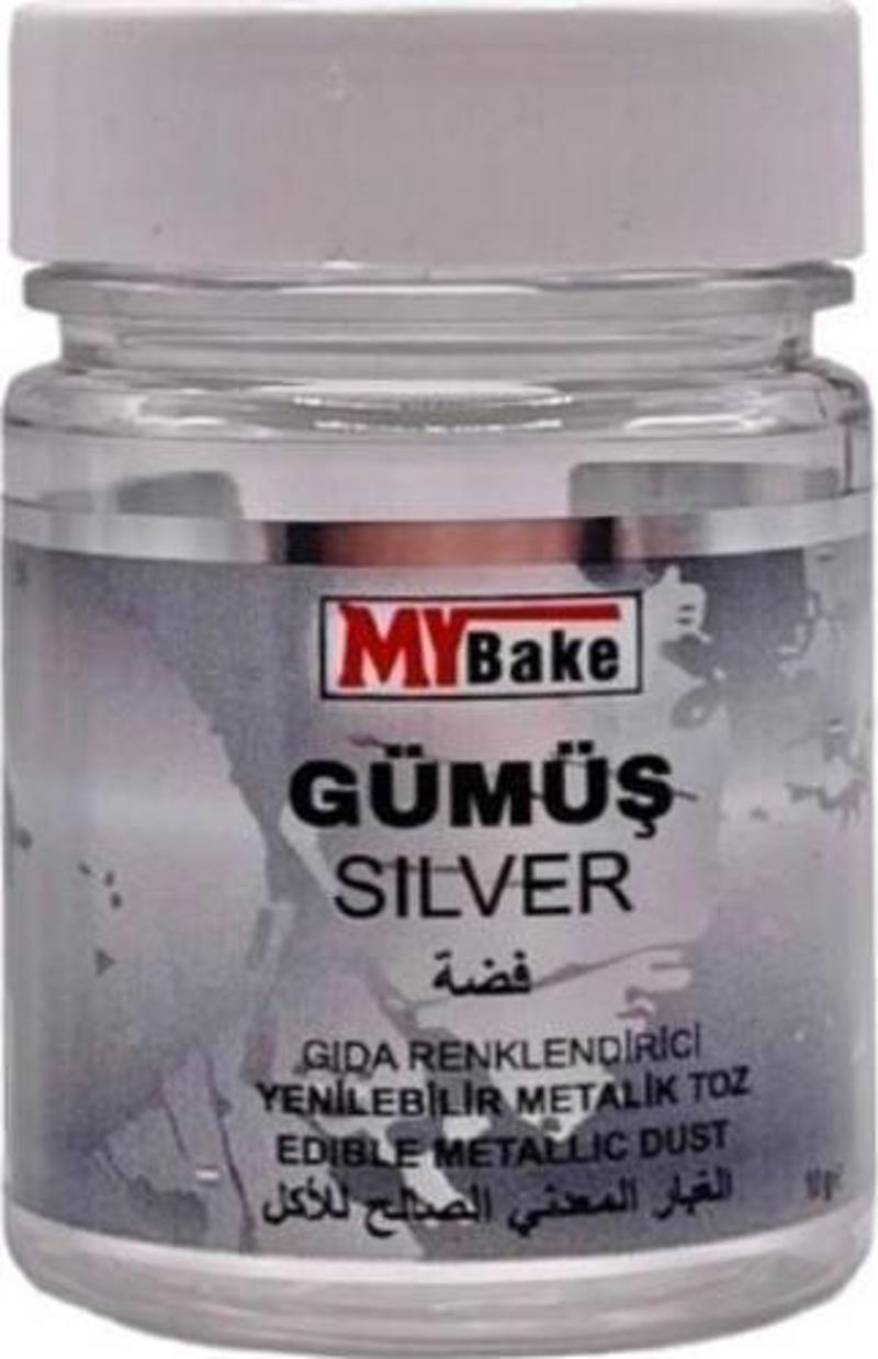 GÜMÜŞ YALDIZ 10 GR