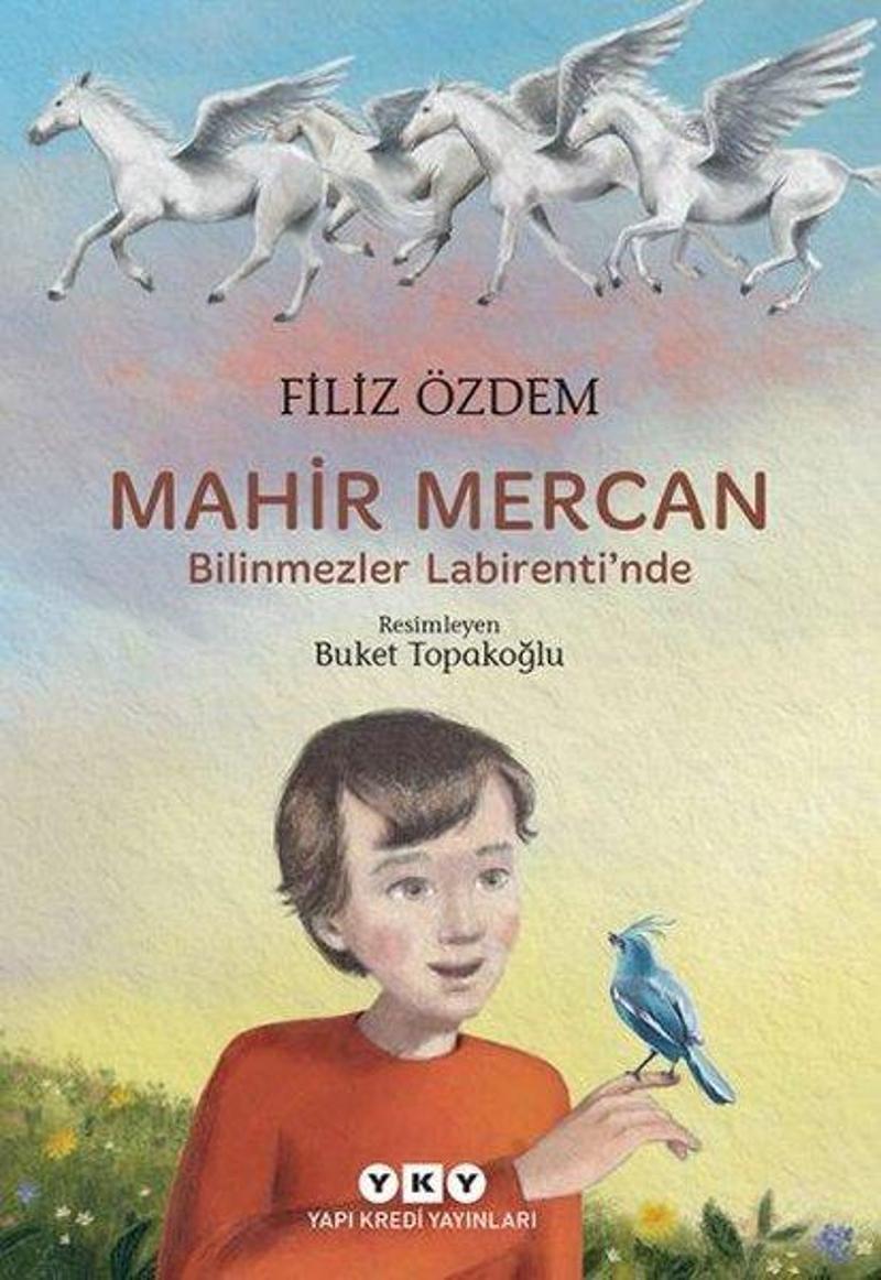 Yapı Kredi Yayınları Mahir Mercan - Bilinmezler Labirenti'nde - Filiz Özdem