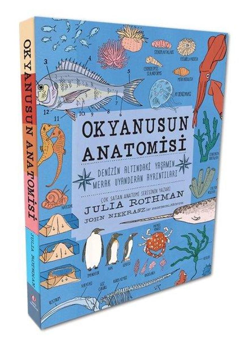 Odtü Okyanusun Anatomisi - Denizin Altındaki Yaşamın Merak Uyandıran Ayrıntıları - Julia Rothman