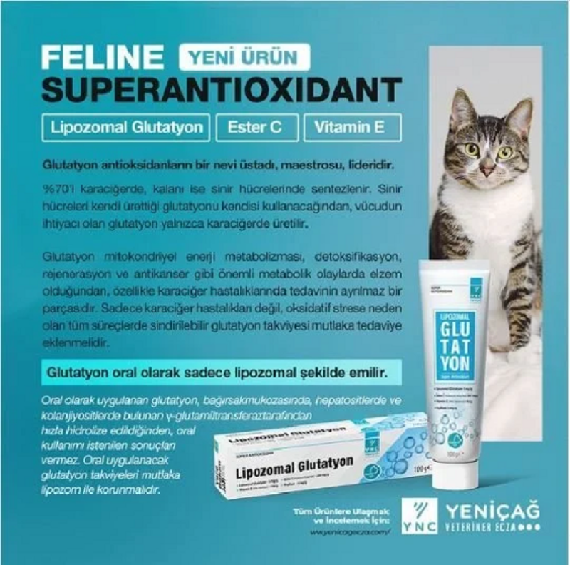 YNC LİPOZOMAL GLUTATYON (Kedi Bağışıklık Güçlendirici)