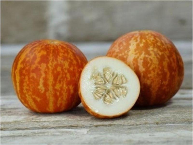 Kokulu Süs Kavunu Tiger Melon