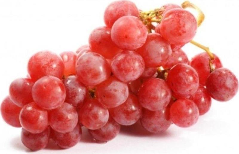 Pembe Gemre Üzüm