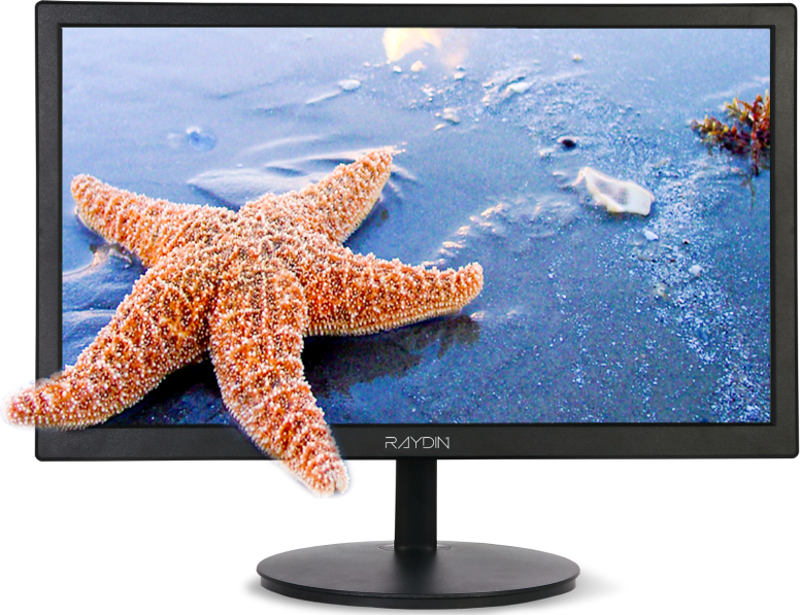 P195Vhc 19,5&Quot; 5Ms, 75Hz, 1600X900, D-Sub, Hdmı, Tn Led Monitör